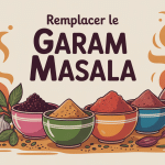 remplacer garam masala illustration épices indiennes