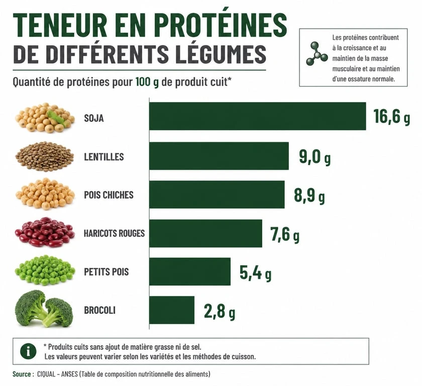 Infographie comparative de la teneur en protéines des légumes riches en protéines